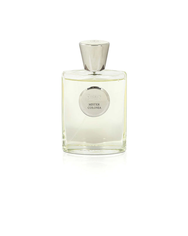 Mister Colonia