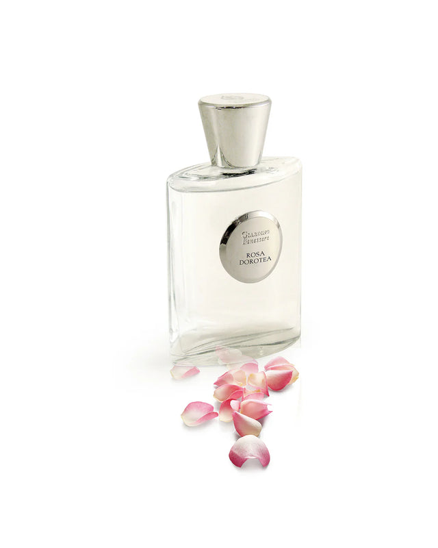Rosa Dorotea By Giardini Benessere